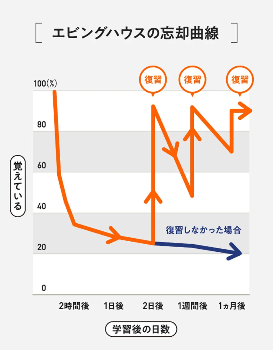 エビングハウスの忘却曲線